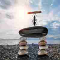 网​站‌seo视​频‍教‌程​